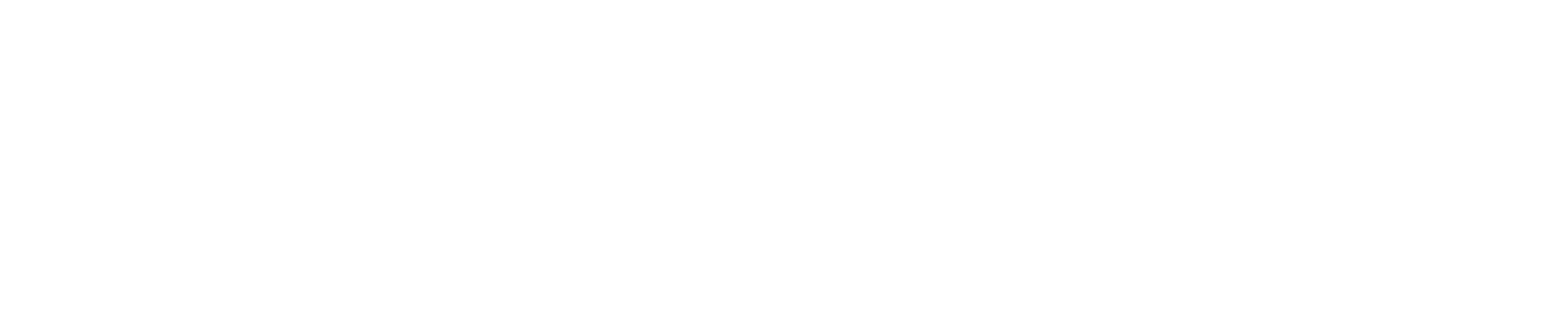 PGM EXPERTISE & SOLUTIONS